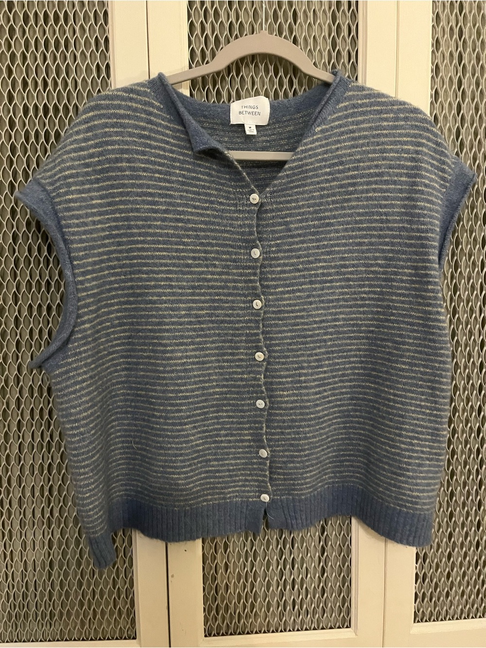 Things Between Blue Striped Sleeveless Button-Front Sweater Vest